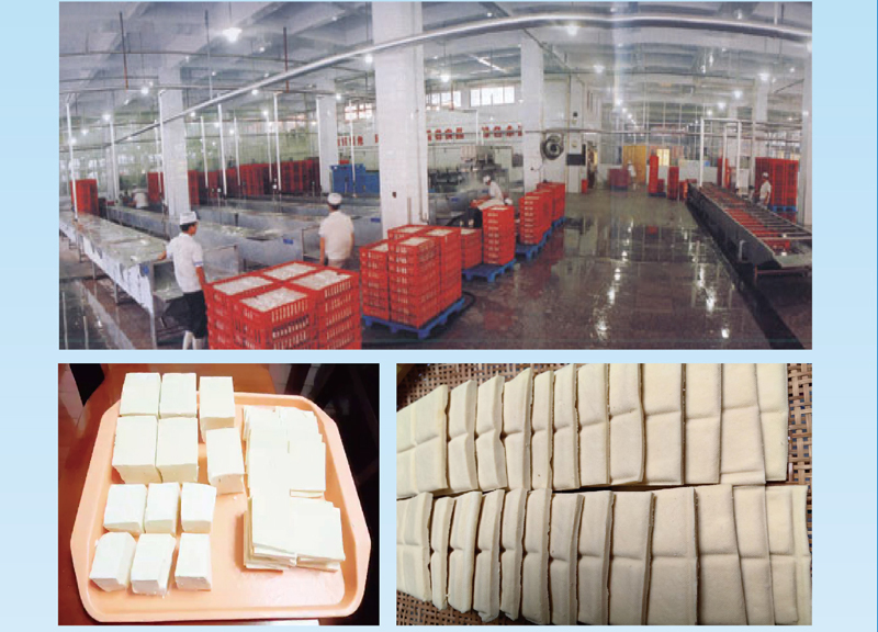 Solution for processing whole bean products